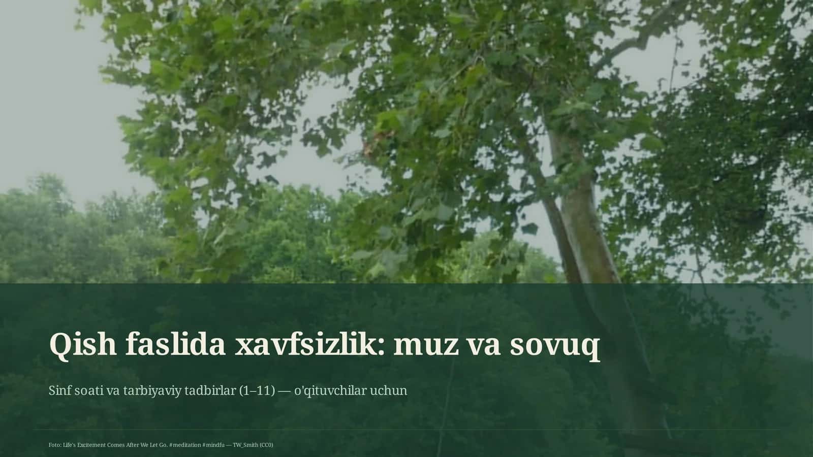 Qish faslida xavfsizlik: muz va sovuq