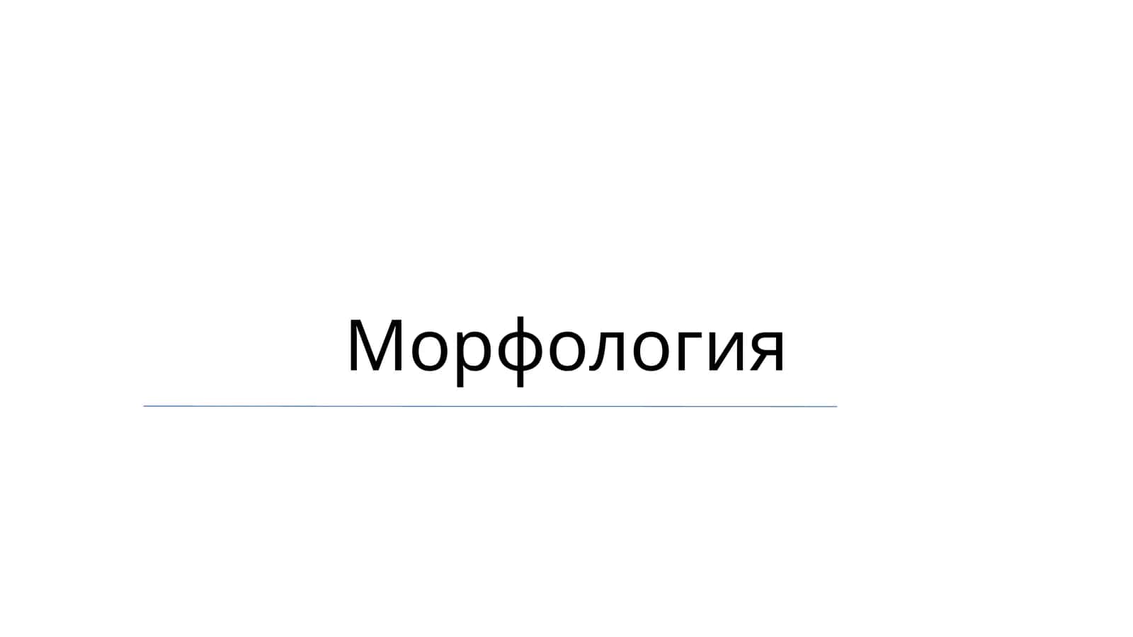 Морфология