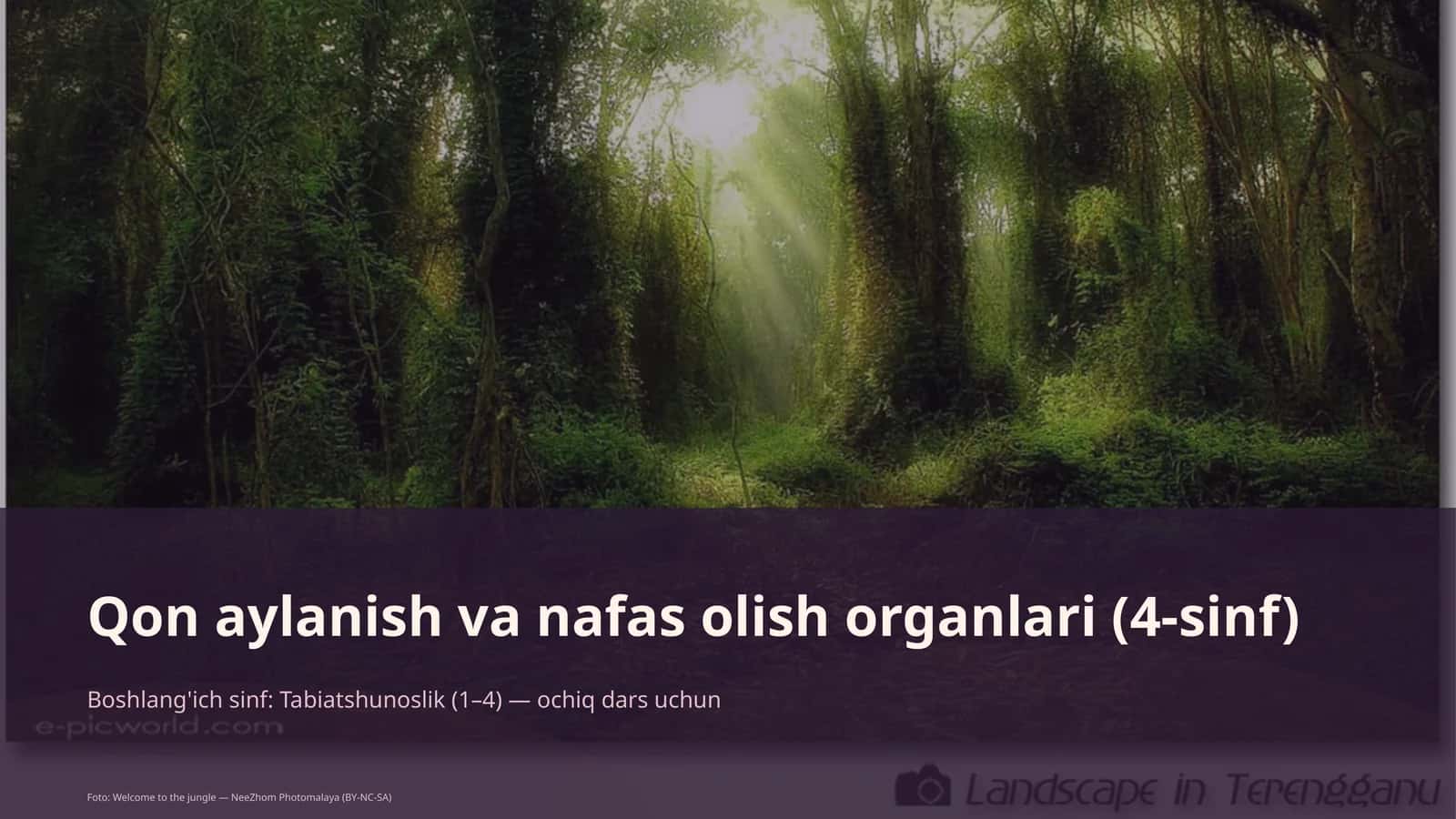Qon aylanish va nafas olish organlari (4-sinf)
