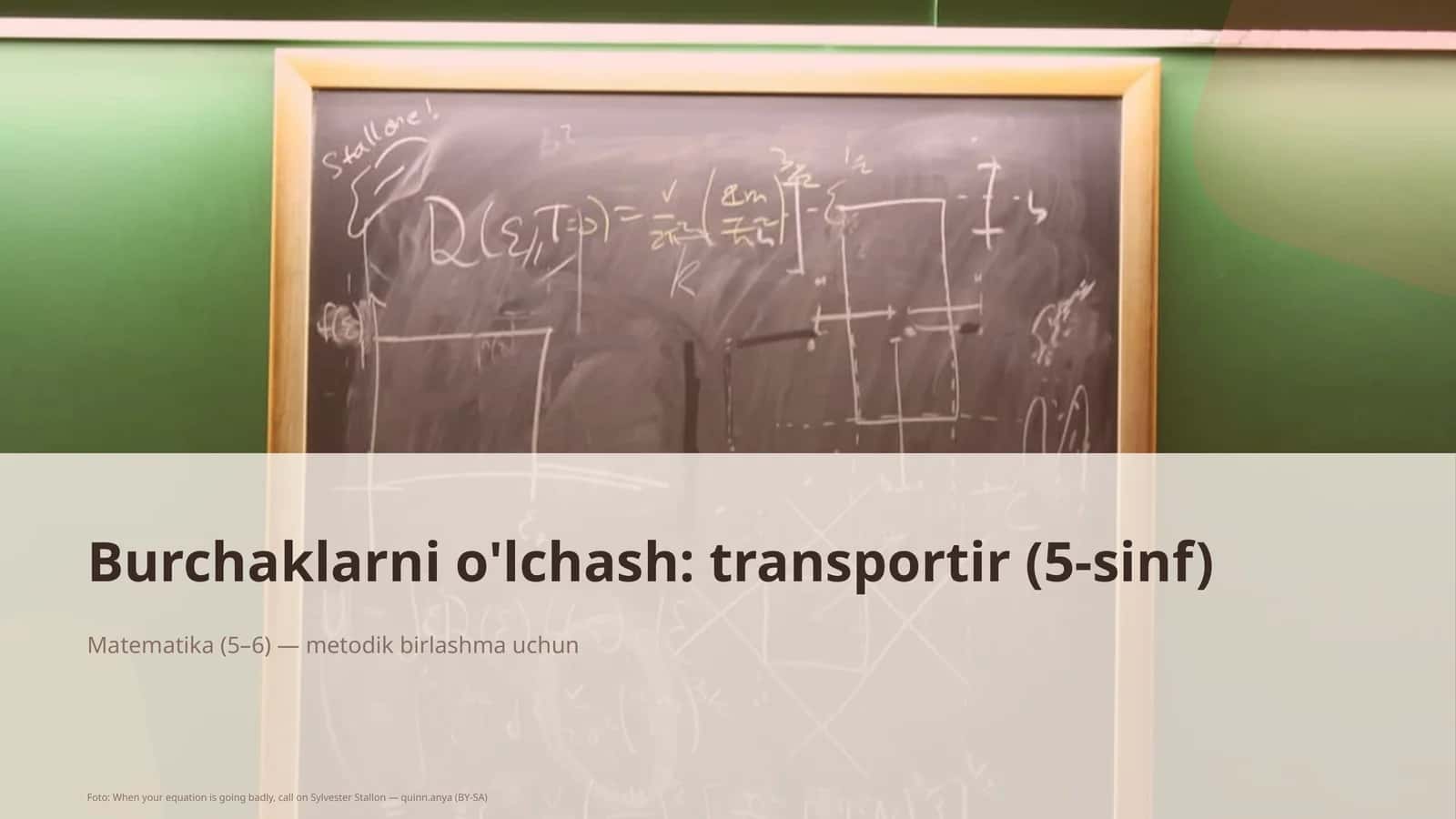 Matematika (5–6) — metodik birlashma uchun