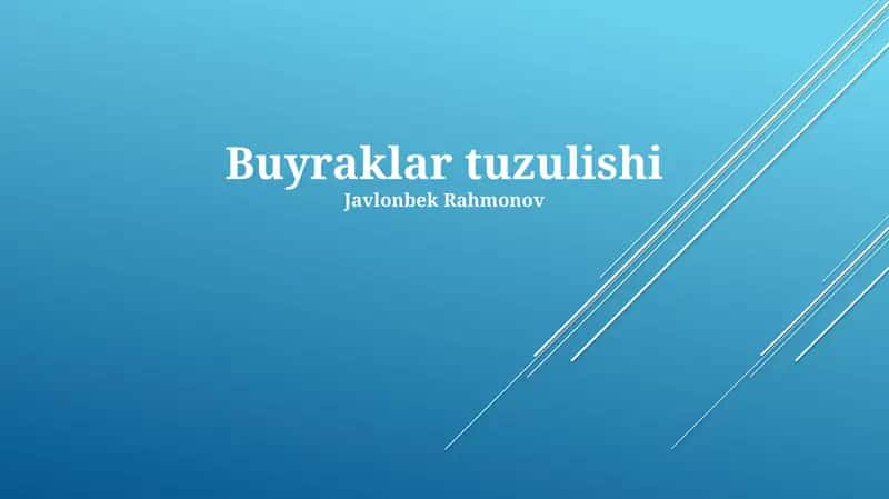 Buyraklar tuzulishi