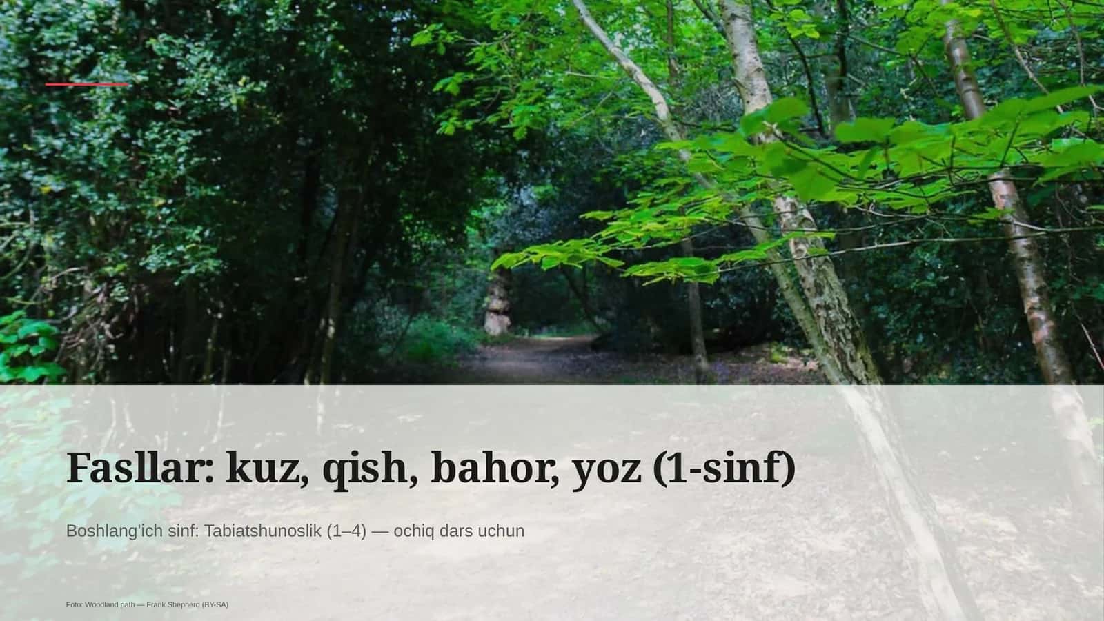 Tabiatshunoslik dars rejasi