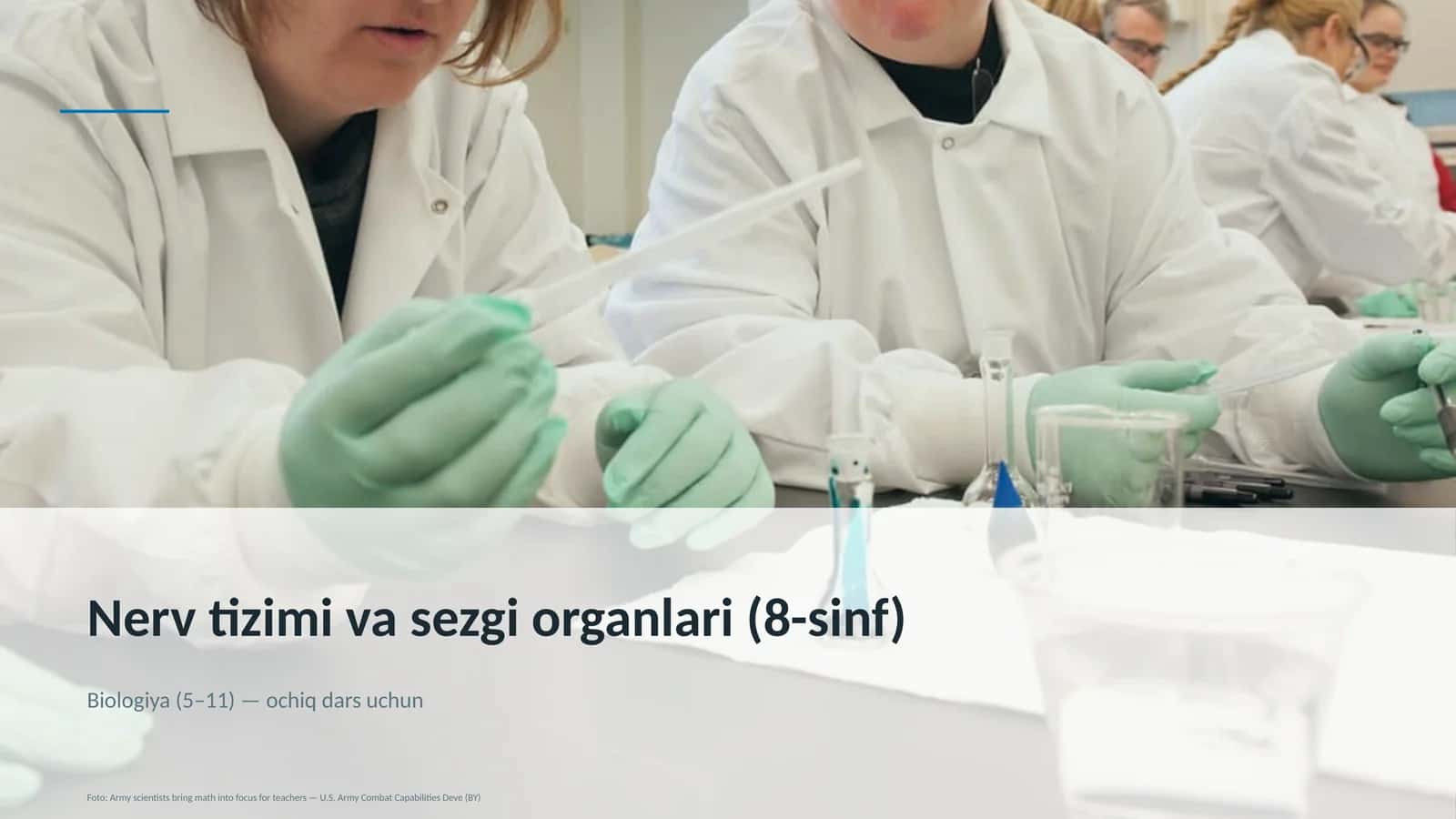 Nerv tizimi va sezgi organlari (8-sinf)