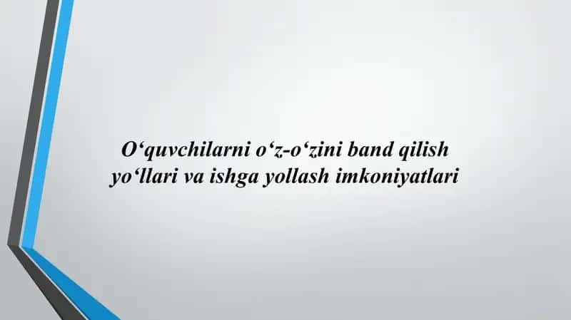 O‘quvchilarni o‘z-o‘zini band qilish yo‘llari va ishga yollash imkoniyatlari