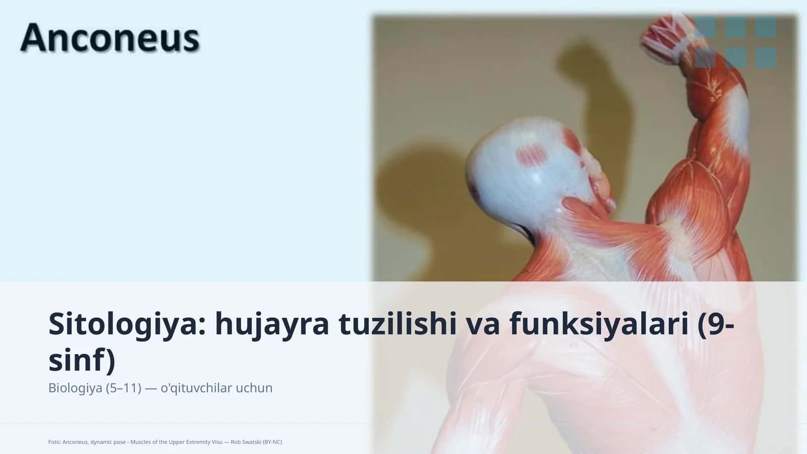 Sitologiya: hujayra tuzilishi va funksiyalari (9-sinf)