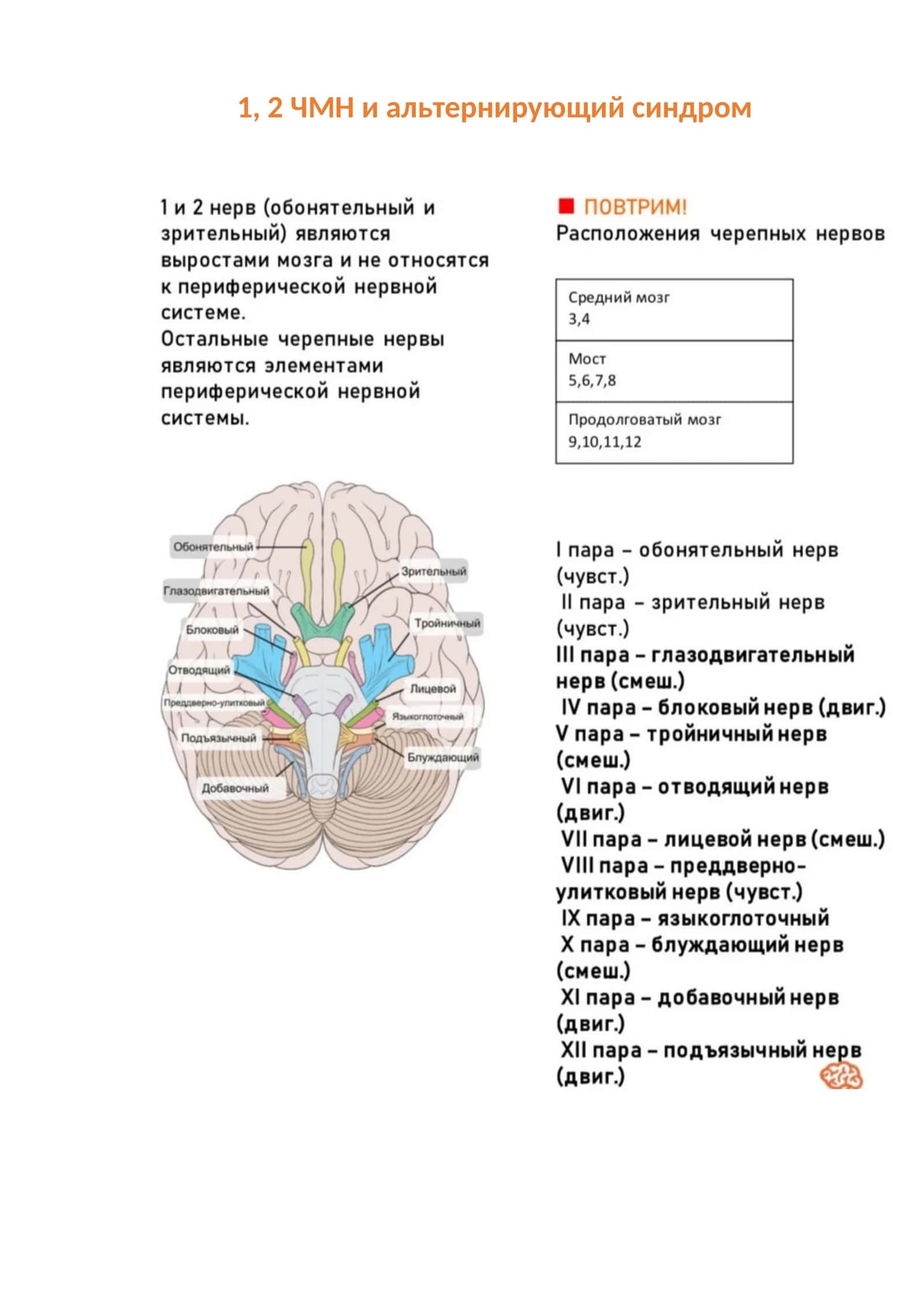 ЧМН и альтернирующий синдром