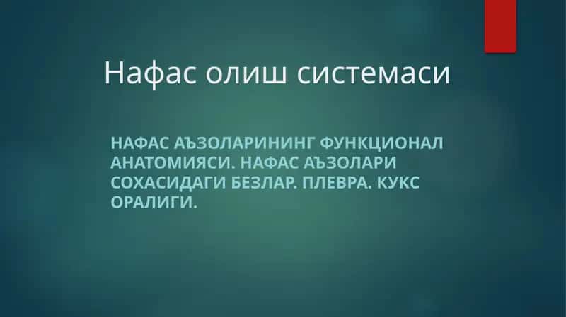 Nafas olish sistemasi anatomiyasi
