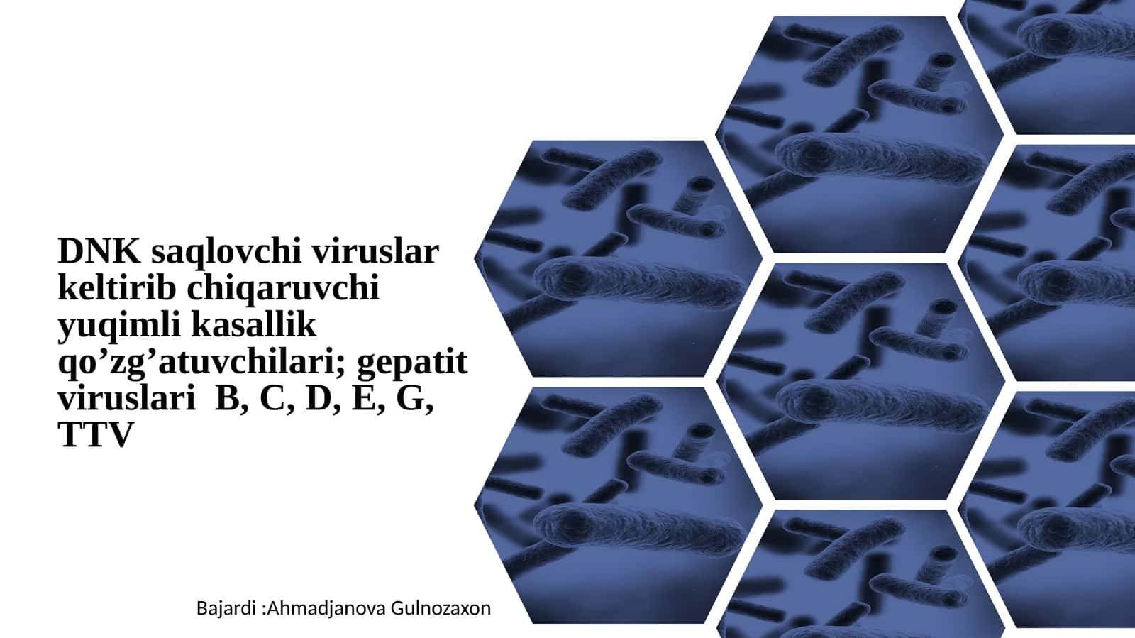 DNK saqlovchi viruslar keltirib chiqaruvchi yuqimli kasallik qoโzgโatuvchilari; gepatit viruslari B, C, D, E, G, TTV