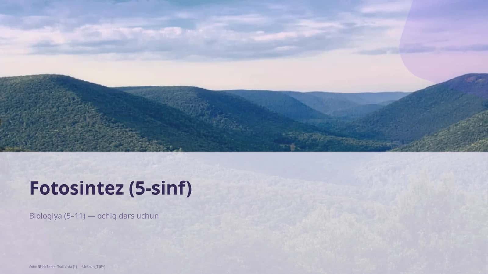 Fotosintez (5-sinf)