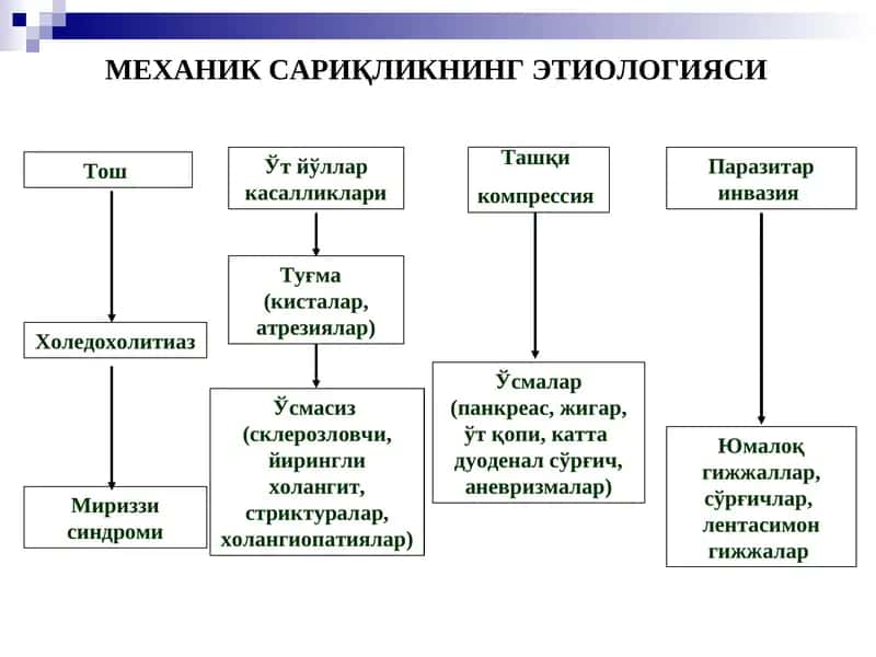 Mexanik sariqlik etiologiyasi 1