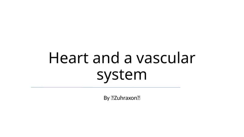 Heart and a vascular system