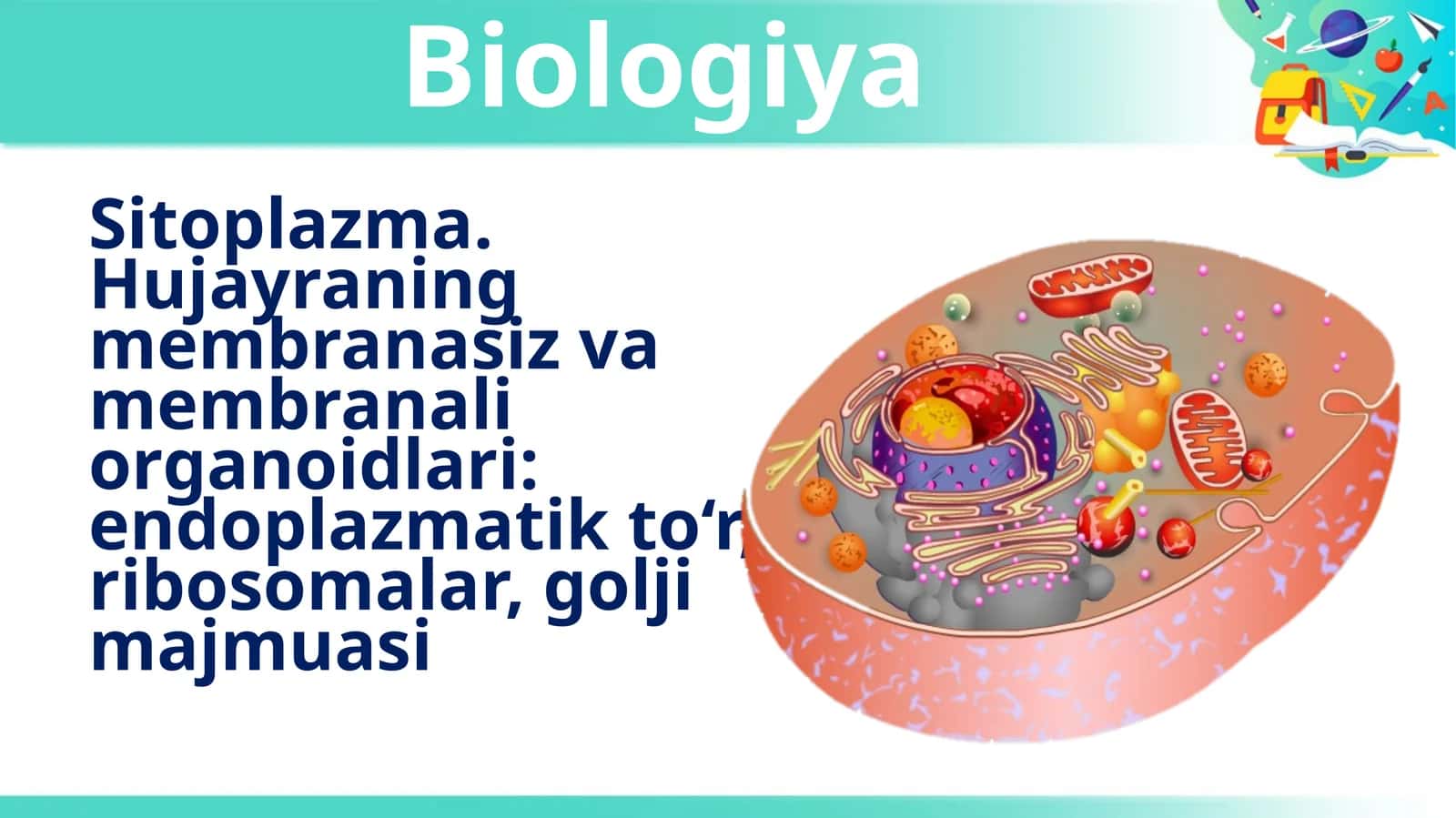 10-sinf Biologiya Sitoplazma, Hujayraning membranasiz va membranali organoidlari