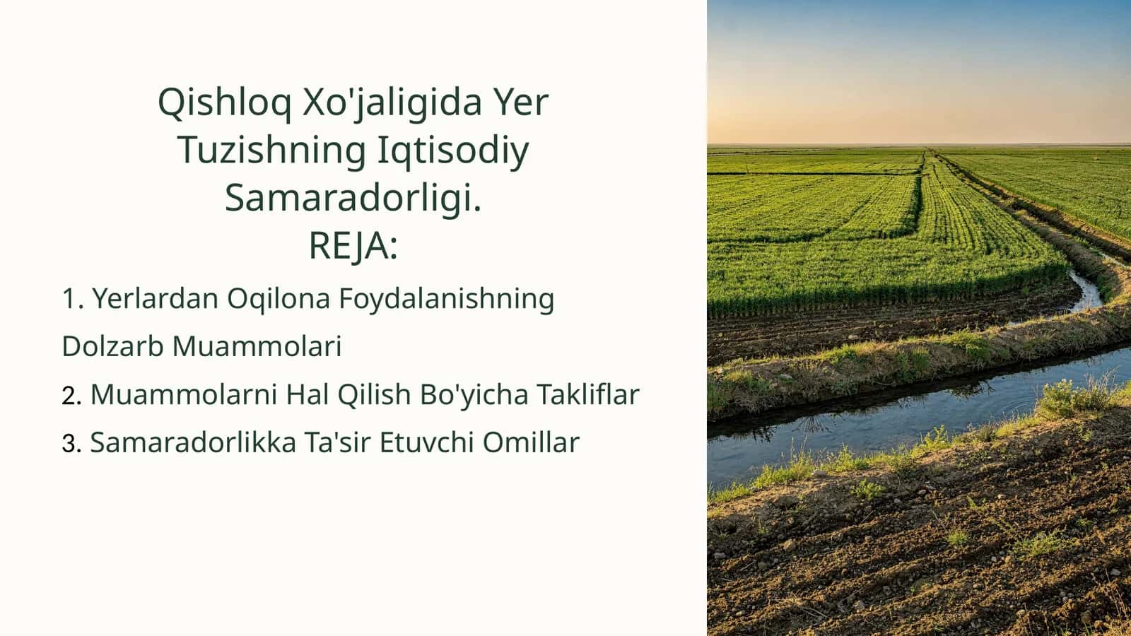 Qishloq Xo'jaligida Yer Tuzishning Iqtisodiy Samaradorligi