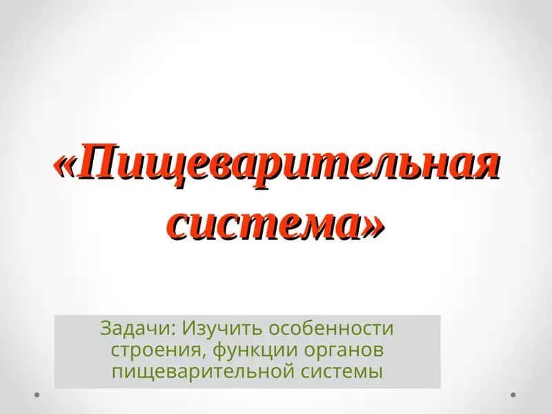 "Пищеварительная система"