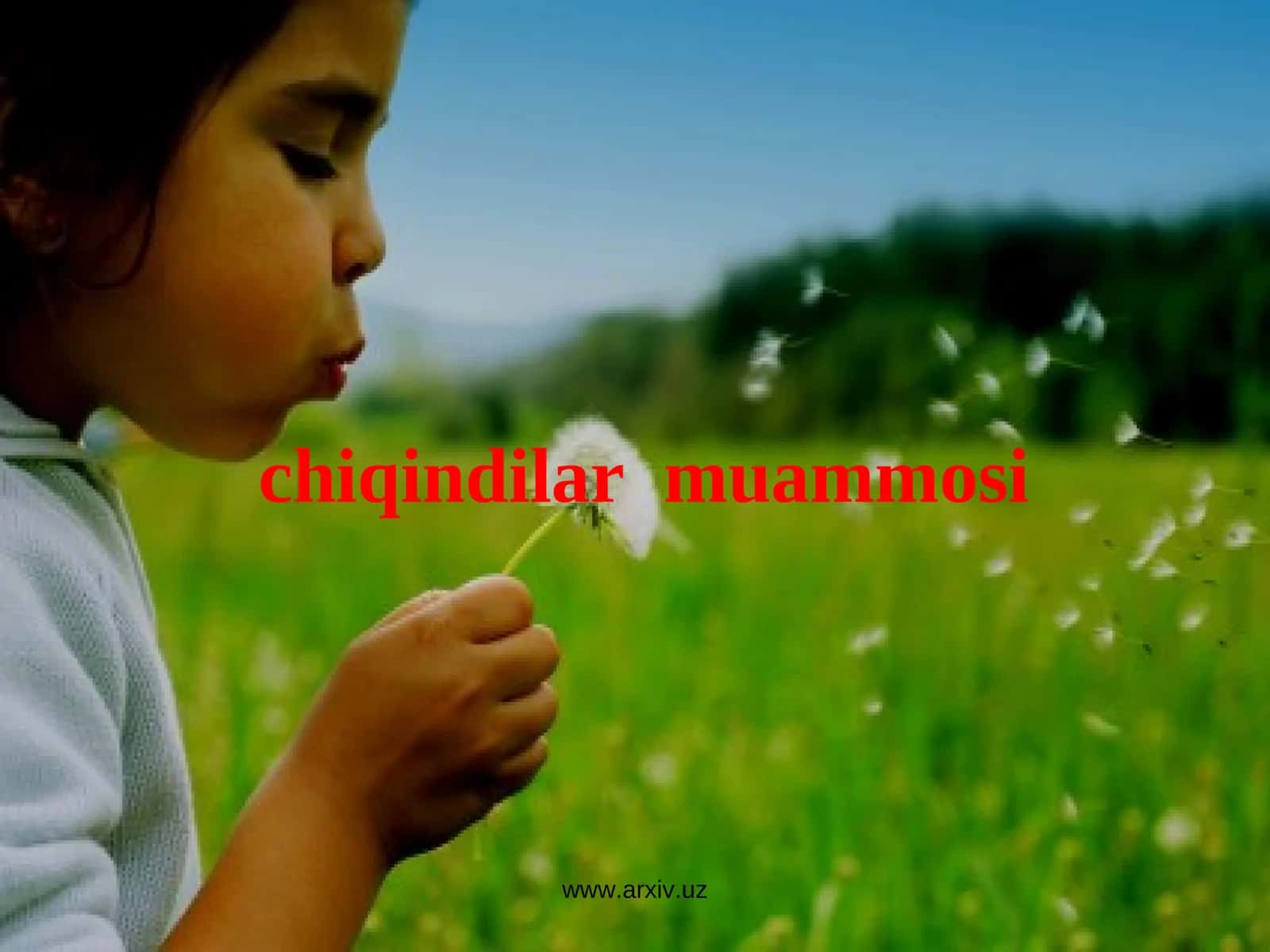 Chiqindilar Muammosi