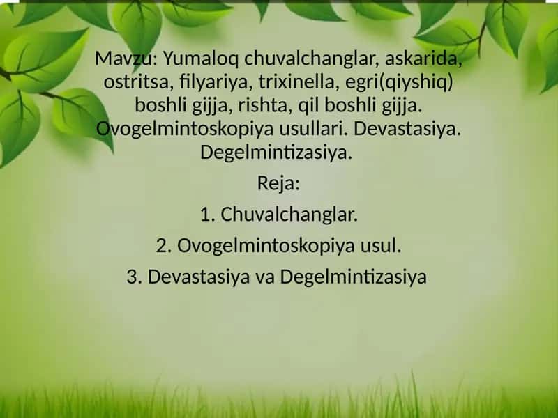 Yumaloq chuvalchanglar, askarida, ostritsa, filyariya, trixinella, egri(qiyshiq) boshli gijja, rishta, qil boshli gijja. Ovogelmintoskopiya usullari. Devastasiya. Degelmintizasiya