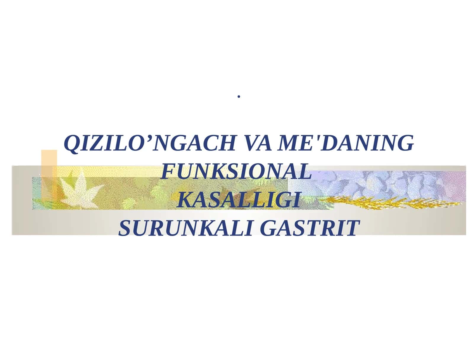 QIZILO’NGACH VA ME'DANING FUNKSIONALKASALLIGISURUNKALI GASTRIT