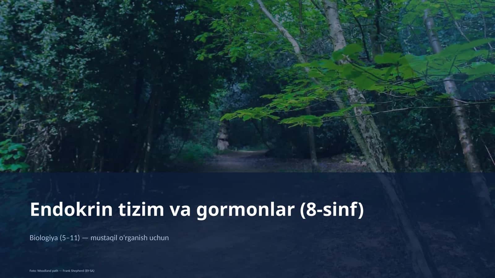 Endokrin tizim va gormonlar (8-sinf)