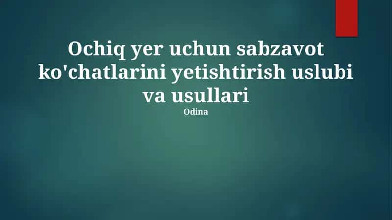 Ochiq yer uchun sabzavot ko'chatlarini yetishtirish uslubi va usullari