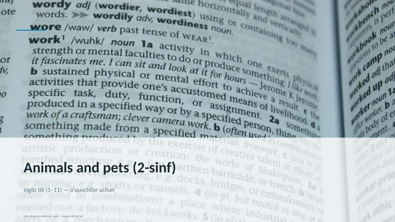 Animals and pets (2-sinf)