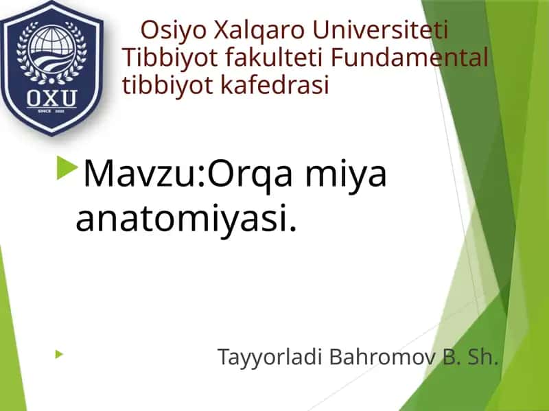Orqamiya anatomiyasi