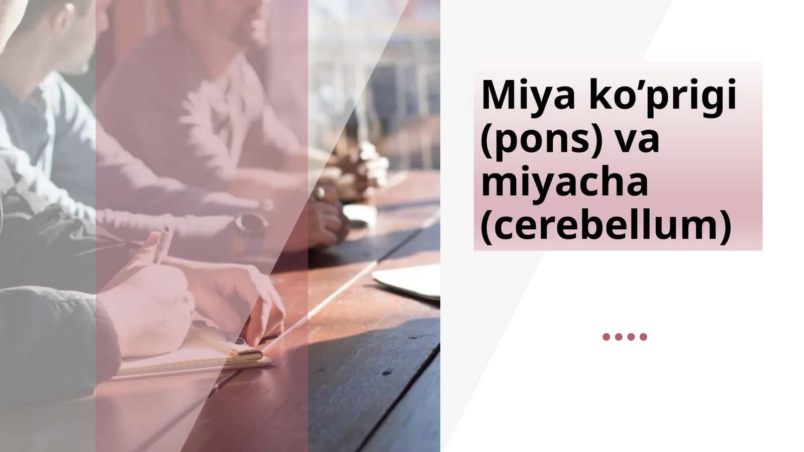 Miyako’prigi(pons)