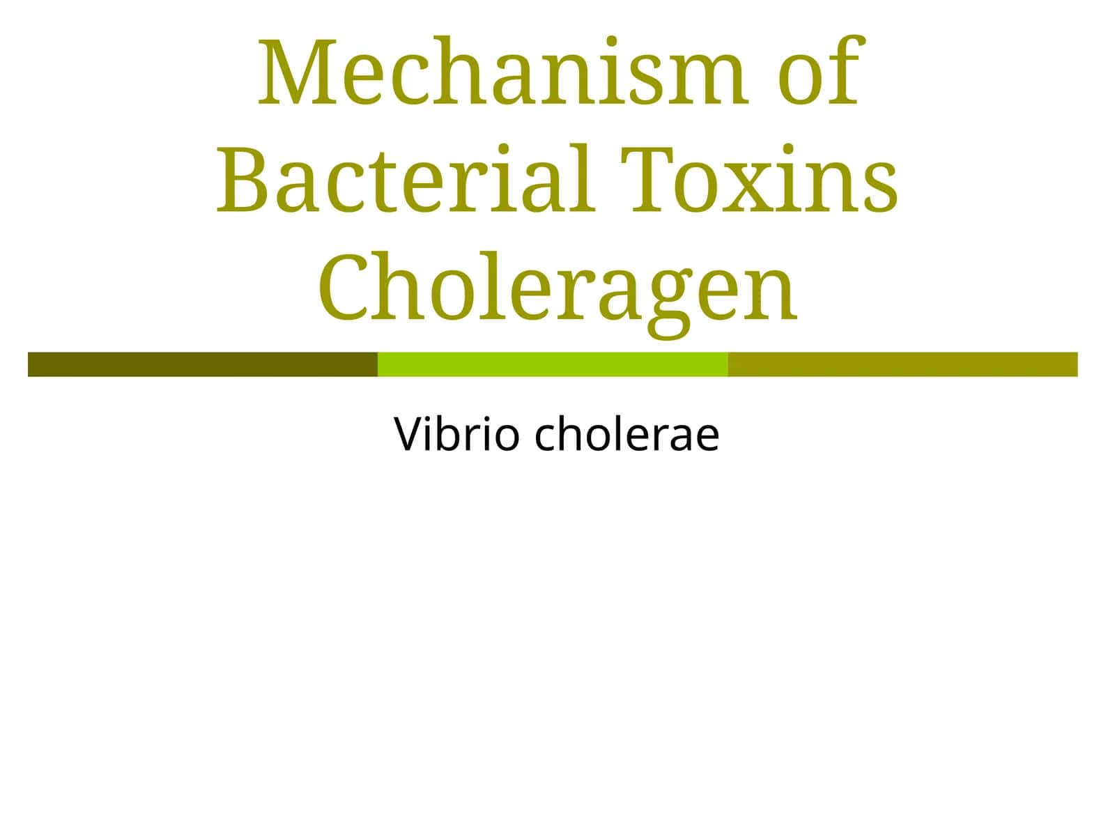 Mechanism of Bacterial ToxinsCholeragen