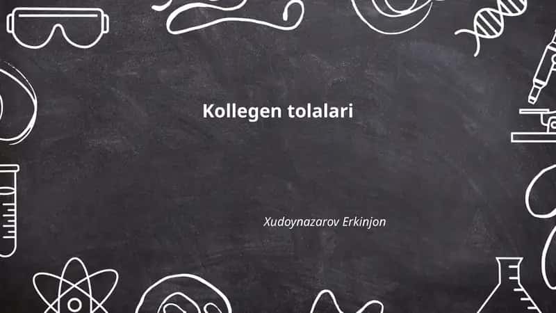 Kollegen tolalari