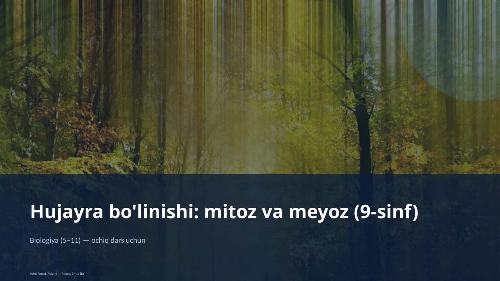 Hujayra bo'linishi: mitoz va meyoz (9-sinf)