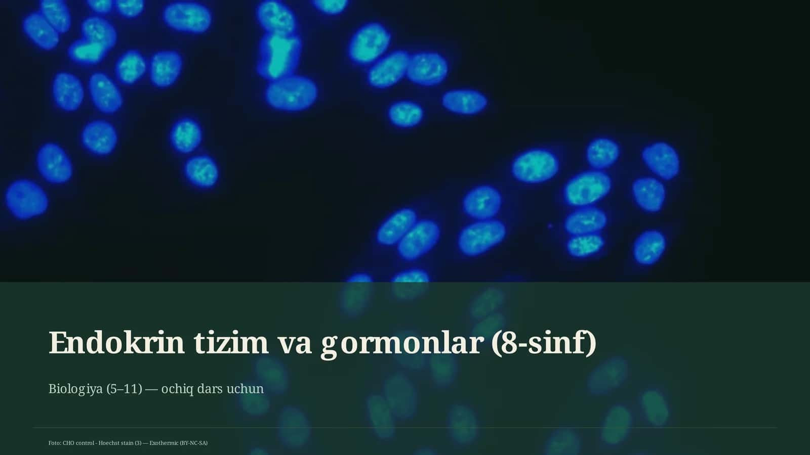 Endokrin tizim va gormonlar (8-sinf)