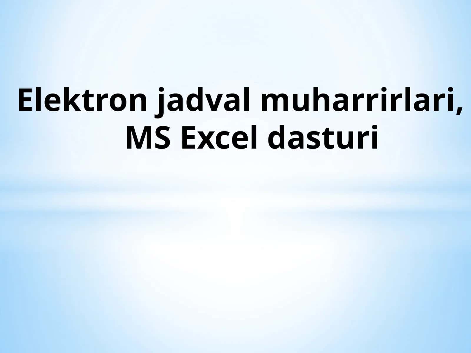 Elektron jadval muharrirlari, MS Excel dasturi