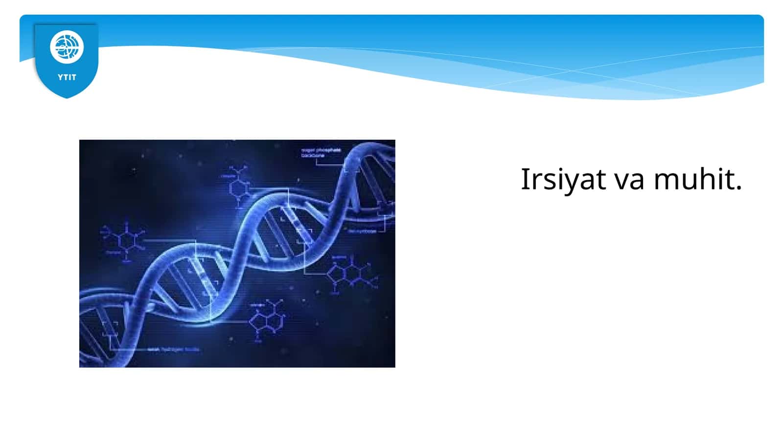 Irsiyatvamuhit