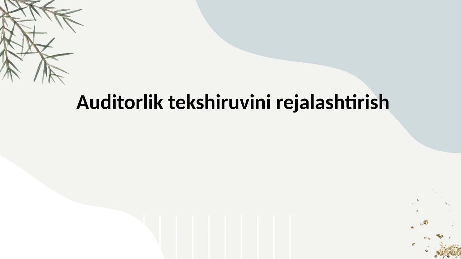 Auditorlik tekshiruvini rejalashtirish 1