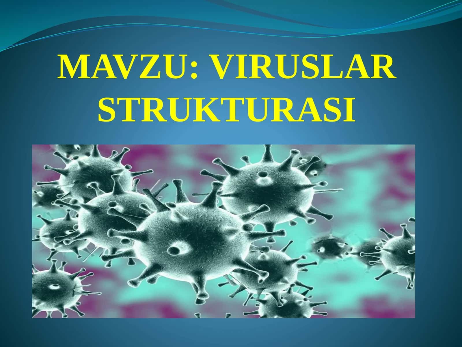 VIRUSLAR STRUKTURASI