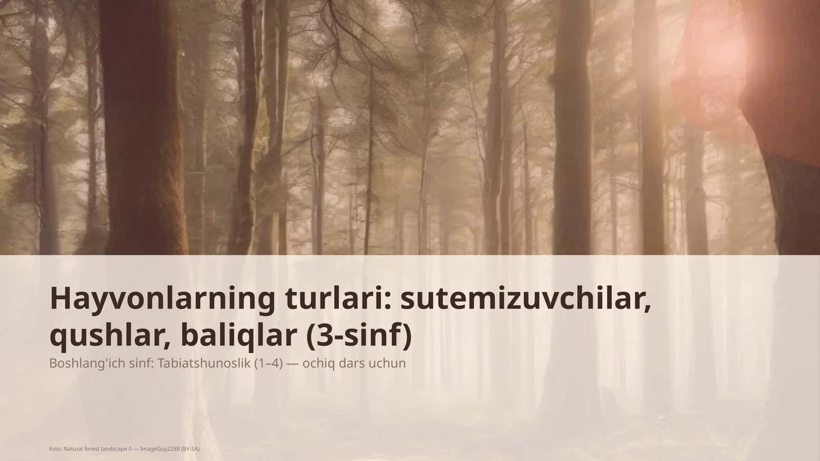 Hayvonlarning turlari: sutemizuvchilar, qushlar, baliqlar (3-sinf)