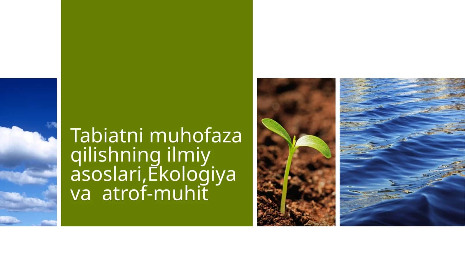 Ekologiya va atrof-muhit