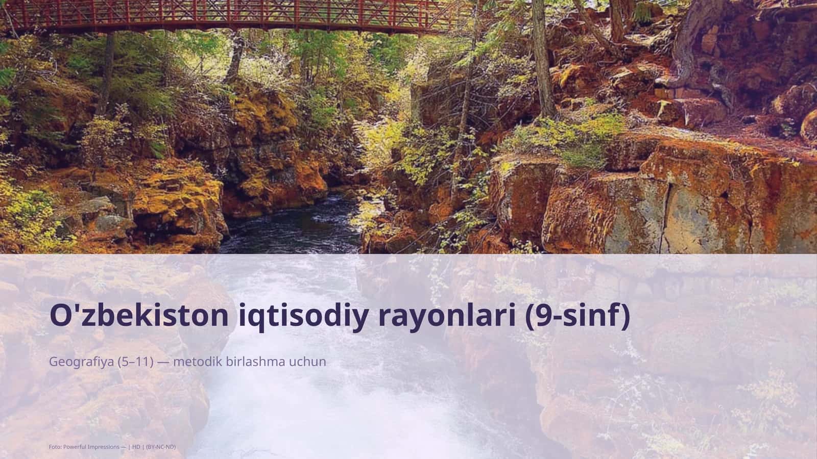 O'zbekiston iqtisodiy rayonlari (9-sinf)