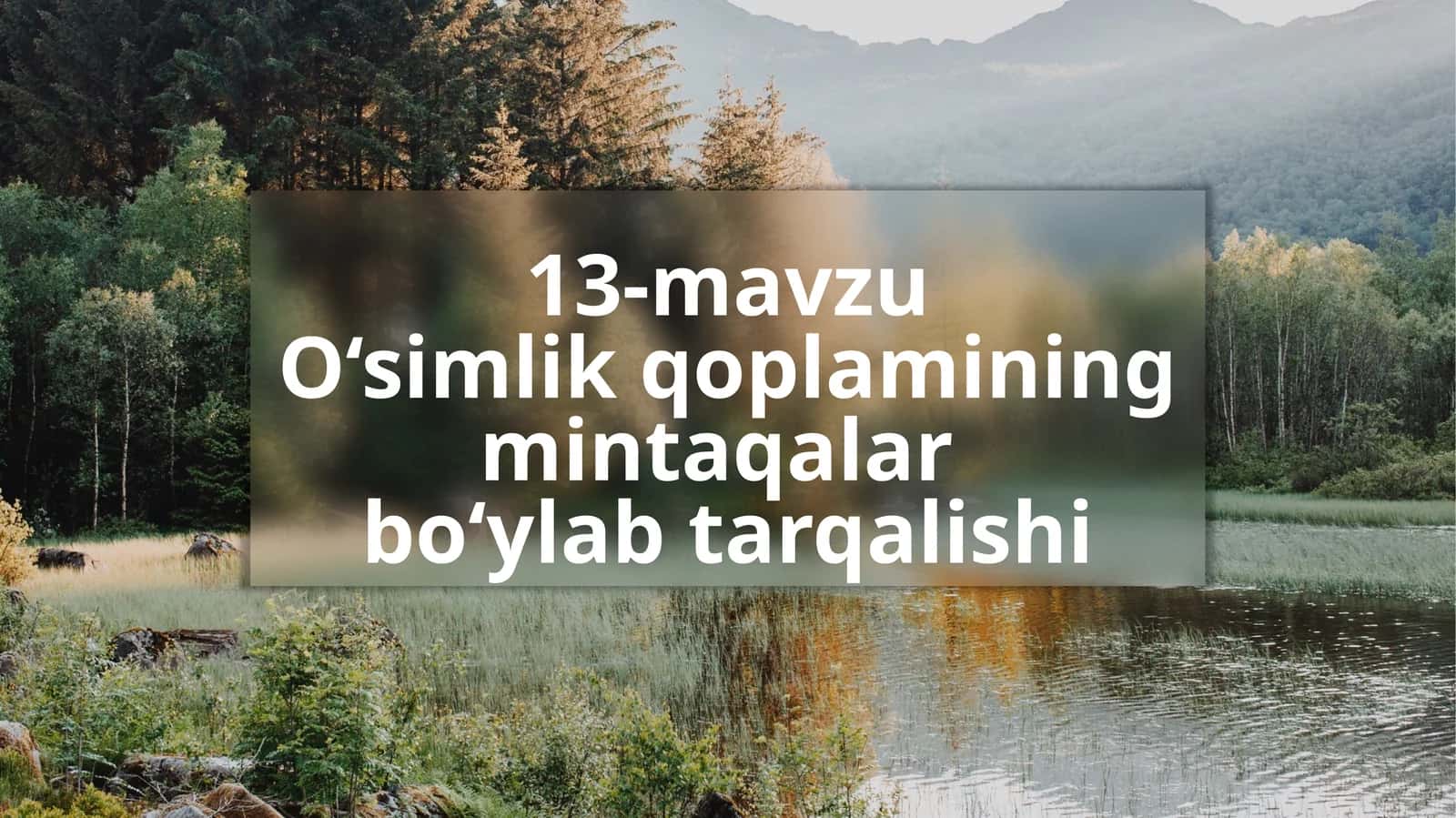 O‘simliklar va mintaqalar