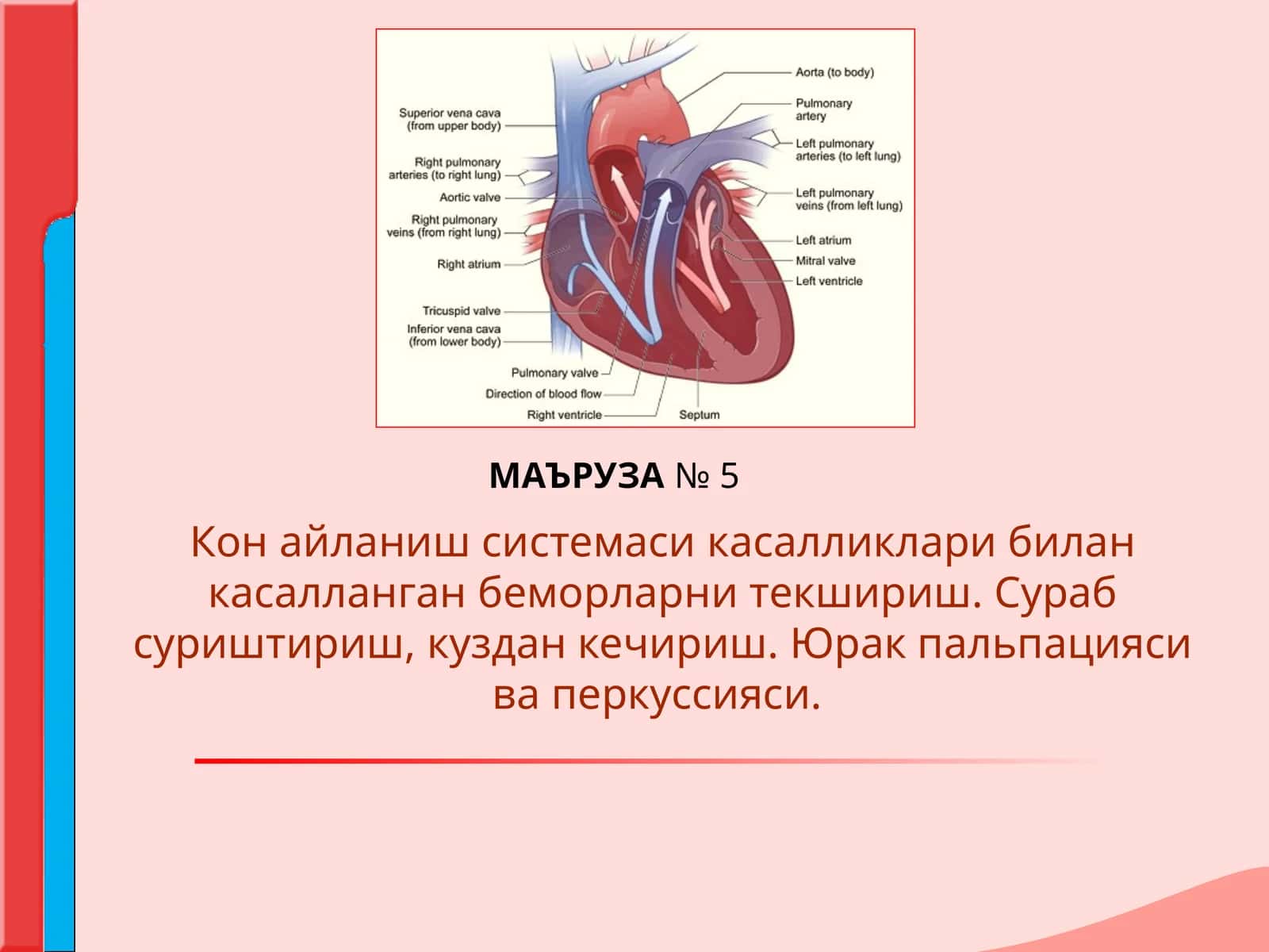 Кон айланиш системаси касалликлари билан касалланган беморларни текшириш. Сураб суриштириш, куздан кечириш. Юрак пальпацияси ва перкуссияси