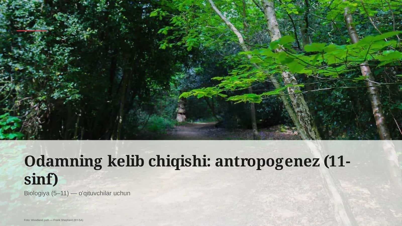 Odamning kelib chiqishi: antropogenez (11-sinf)