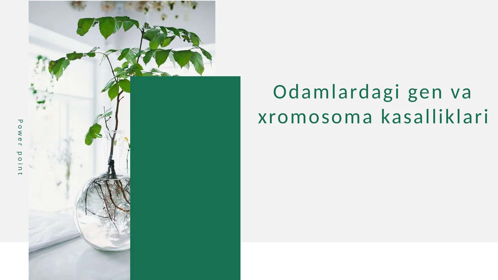 Odamlardagi gen va xromosoma kasalliklari
