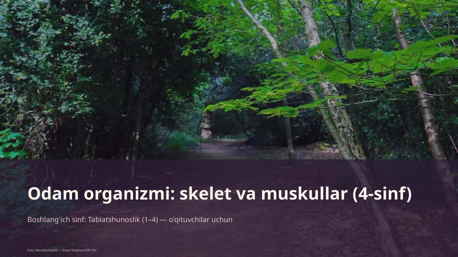 Odam organizmi: skelet va muskullar (4-sinf)