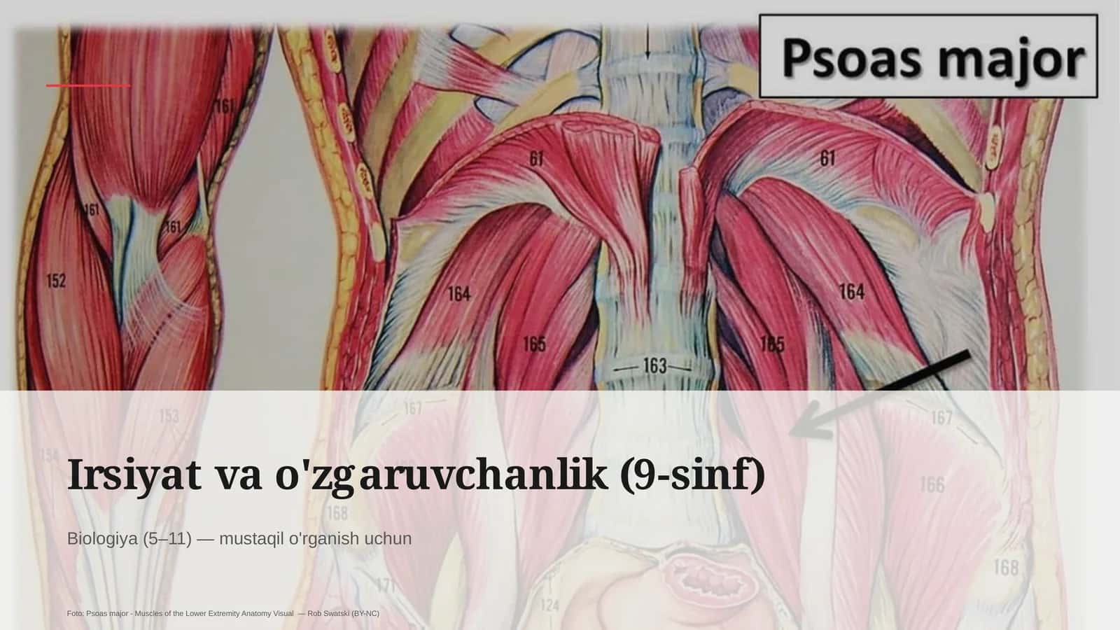 Irsiyat va o'zgaruvchanlik (9-sinf)