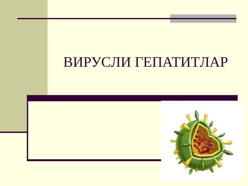ВИРУСЛИГЕПАТИТЛАР