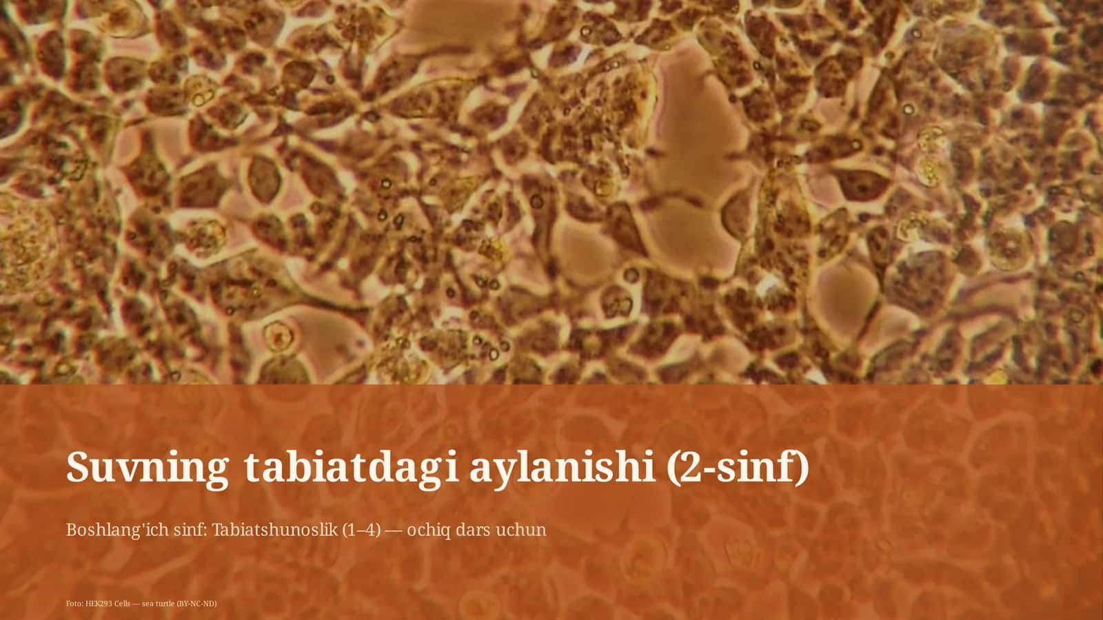 Suvning tabiatdagi aylanishi (2-sinf)