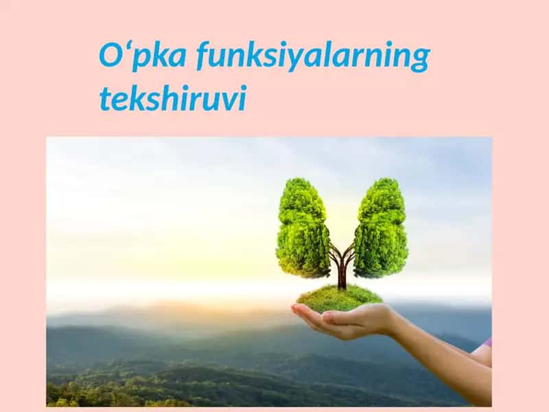 O‘pkafunksiyalarning tekshiruvi