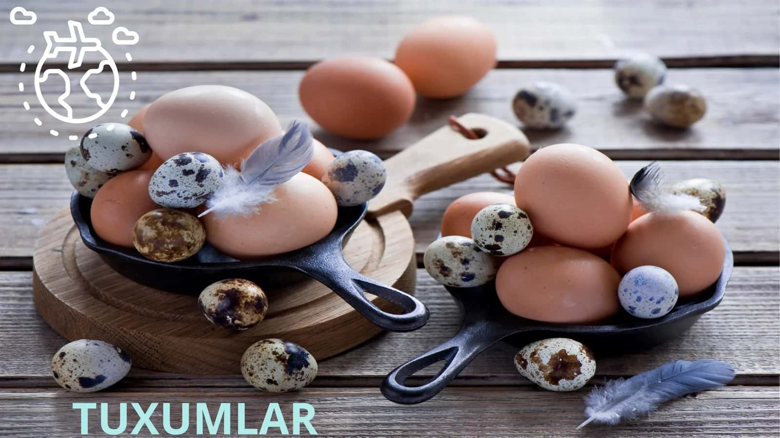 Tuxumlar