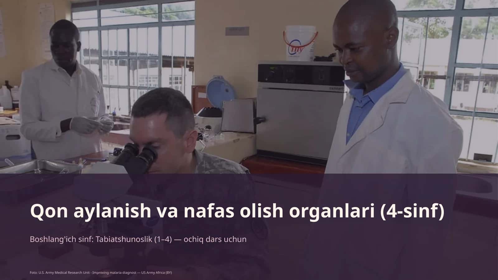 Qon aylanish va nafas olish organlari (4-sinf)