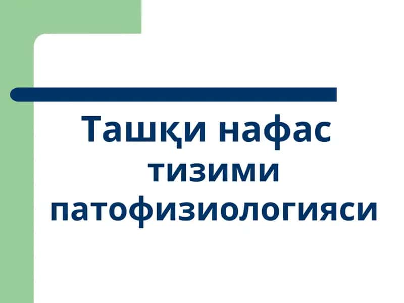 Ташқи нафас тизими патофизиологияси