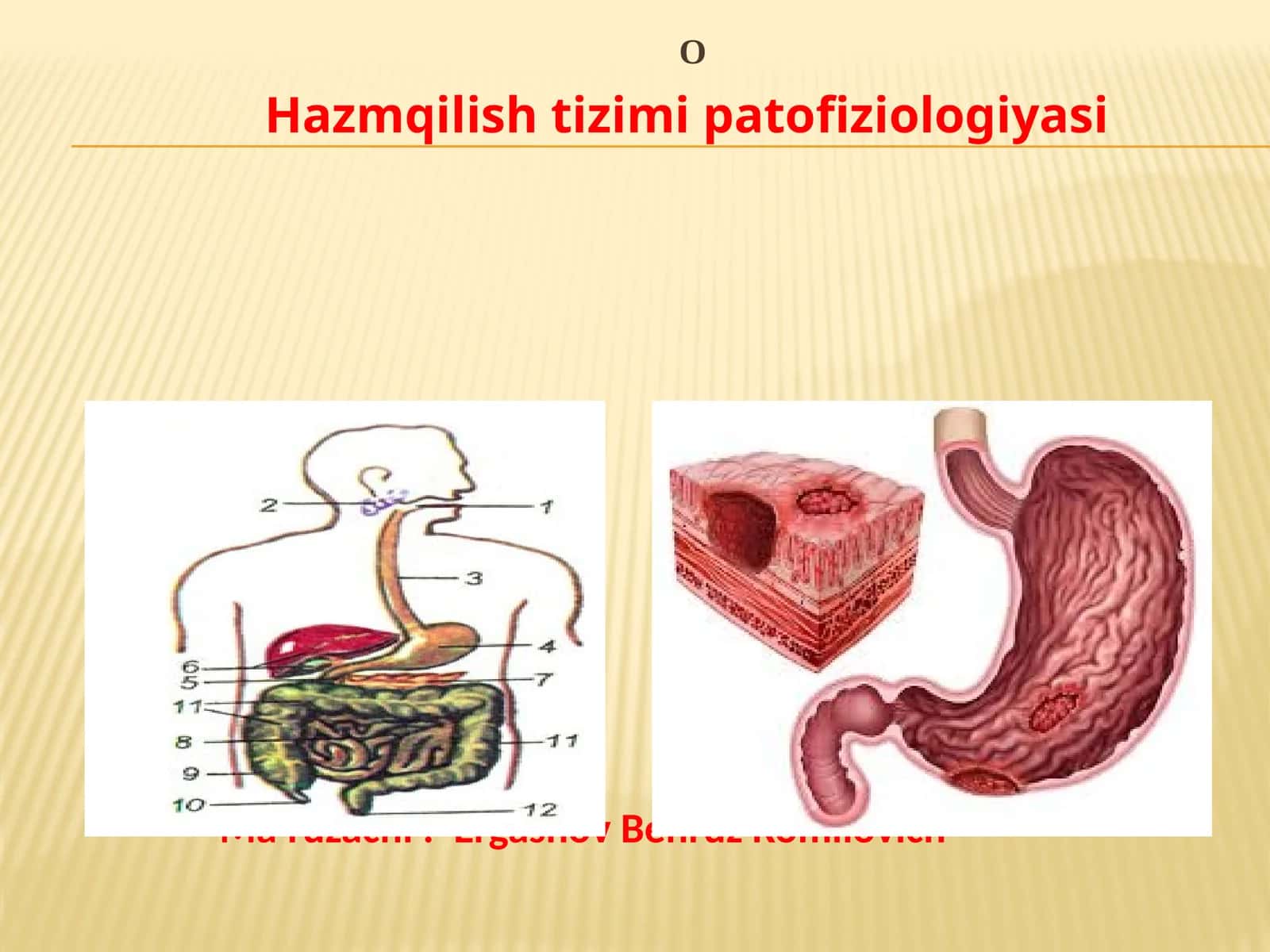 Hazmqilish tizimi patofiziologiyasi